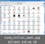 konq_initial_open.jpg