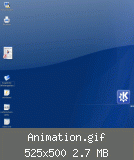 Animation.gif